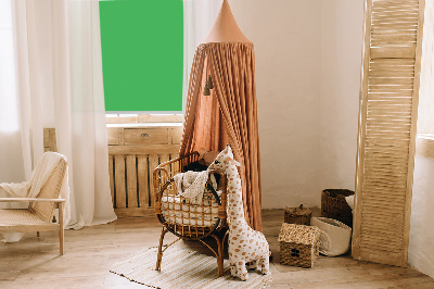 Fabric roller blind Green