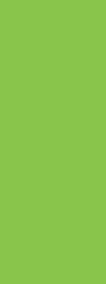Modern roller blind in green