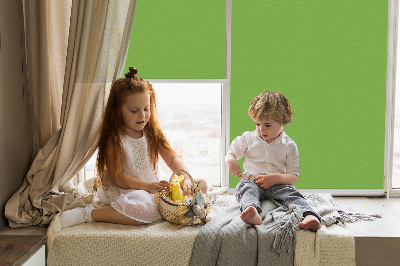 Modern roller blind Green