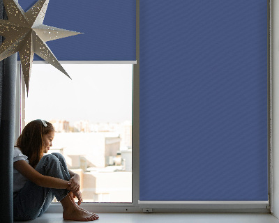 Modern roller blind Navy