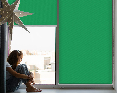 Roller blind for large window Green
