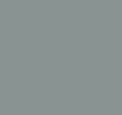 Modern roller blind Gray