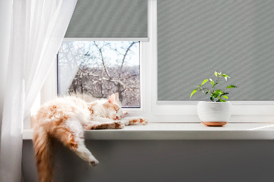Modern roller blind Gray