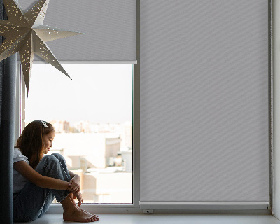 Modern roller blind Gray