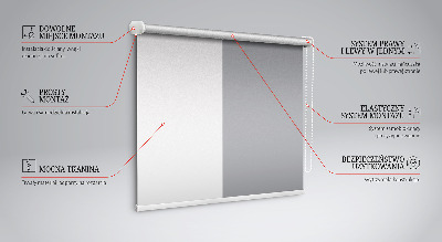 Modern roller blind Gray