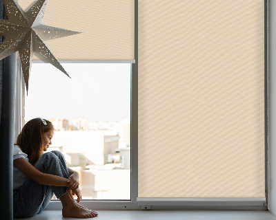 Modern roller blind Beige