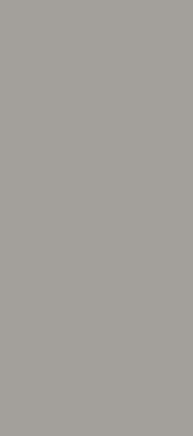 Modern roller blind Gray
