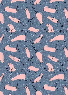 Modern roller blind pink cats pattern