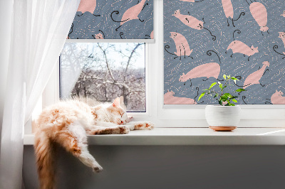 Modern roller blind Pink cats