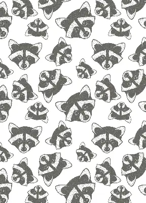 Modern roller blind with a drawn raccoons pattern