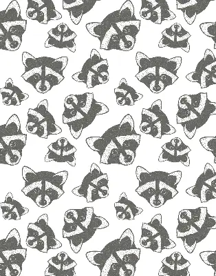 Modern roller blind with a drawn raccoons pattern
