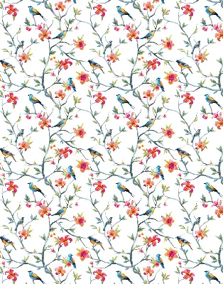 Roller blind for large window featuring a bird on a branch print