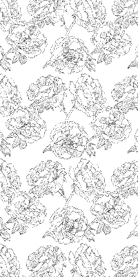 Modern roller blind Drawn roses