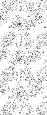 Modern roller blind Drawn roses