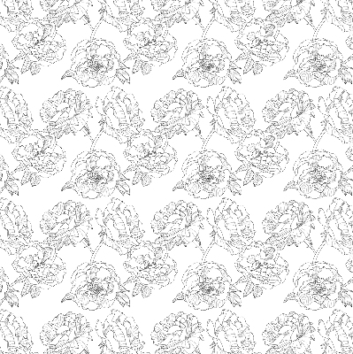 Modern roller blind Drawn roses