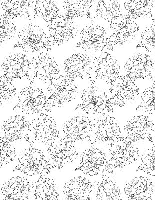 Modern roller blind Drawn roses
