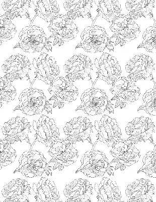 Modern roller blind with a drawn roses pattern
