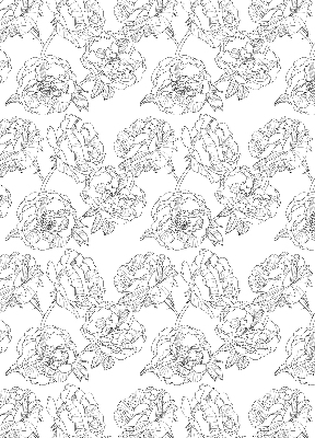 Modern roller blind Drawn roses
