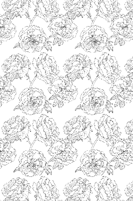 Modern roller blind Drawn roses