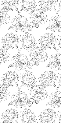 Modern roller blind Drawn roses