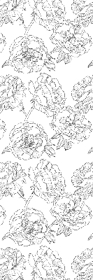 Modern roller blind Drawn roses