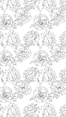 Modern roller blind Drawn roses