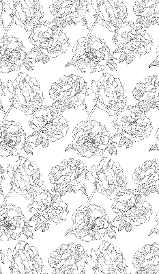 Modern roller blind Drawn roses