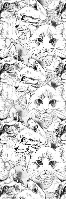 Roller blind for large window Drawn cats