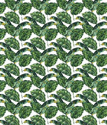 Modern roller blind Exotic leaves