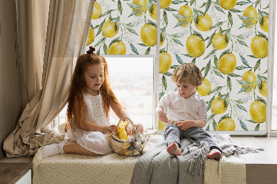 Roller blind for large window Lemons