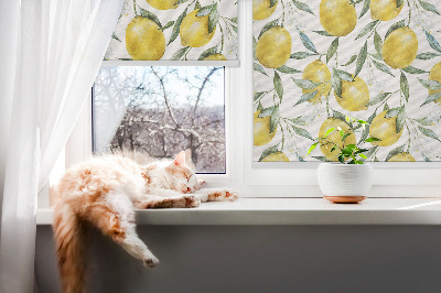 Roller blind for large window Lemons