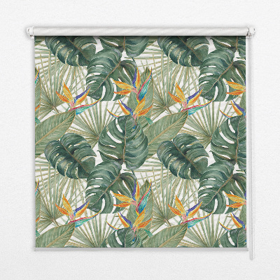 Roller blind modern tropical plants print