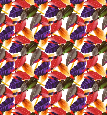 Roller blind for large windows colorful leaves pattern