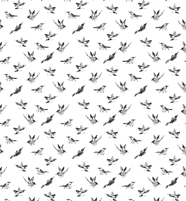 Modern roller blind Birds