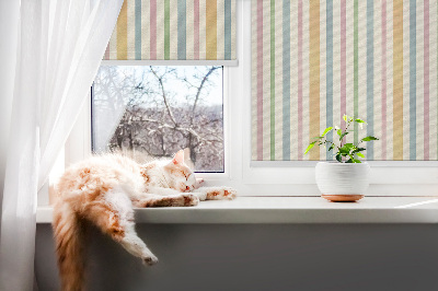 Modern roller blind with colorful vertical stripes