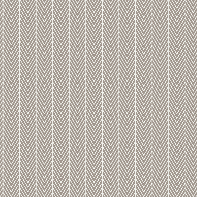 Modern roller blind Fir