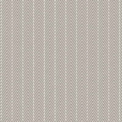 Modern roller blind Fir