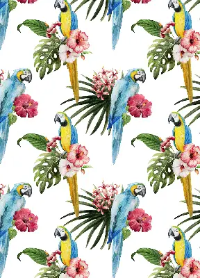 Roller blind for large window with a parrot on flowers print