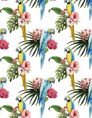 Roller blind for large window with a parrot on flowers print