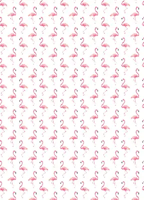 Roller blind modern flamingos print