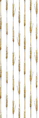 Fabric roller blind Cereal