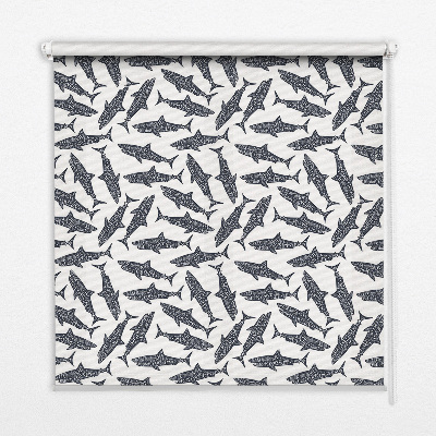 Roller blind for large window sharks design