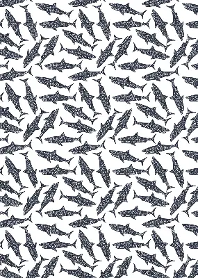 Roller blind for large window sharks design