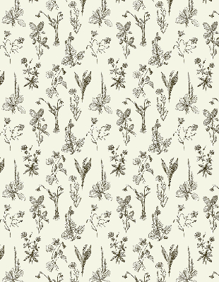 Modern roller blind Drawn flowers
