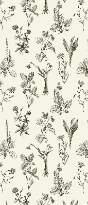 Modern roller blind Drawn flowers