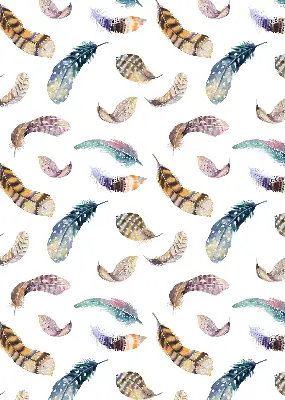 Fabric roller blind with a feathers pattern