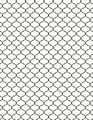 Roller blind for large window Barbed wire