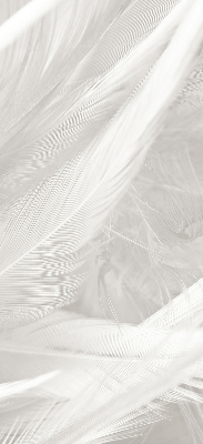Modern roller blind feathers