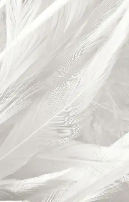 Modern roller blind feathers pattern