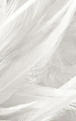 Modern roller blind feathers pattern